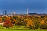 Herbst Skyline-1520.jpg